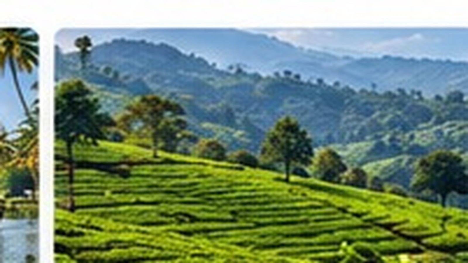 Hills & Plantations in Kerala