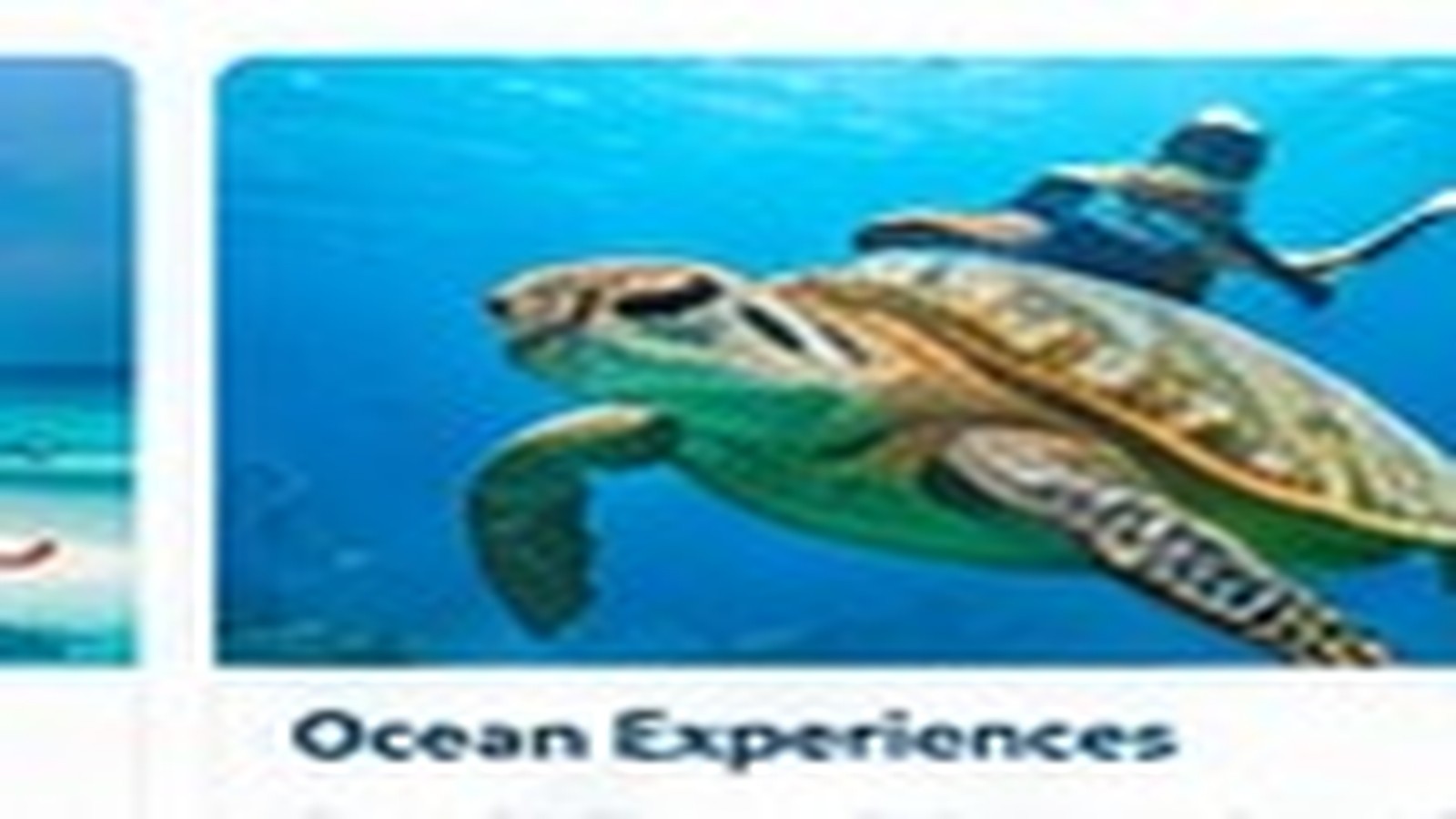 Ocean Experiences in Maldives