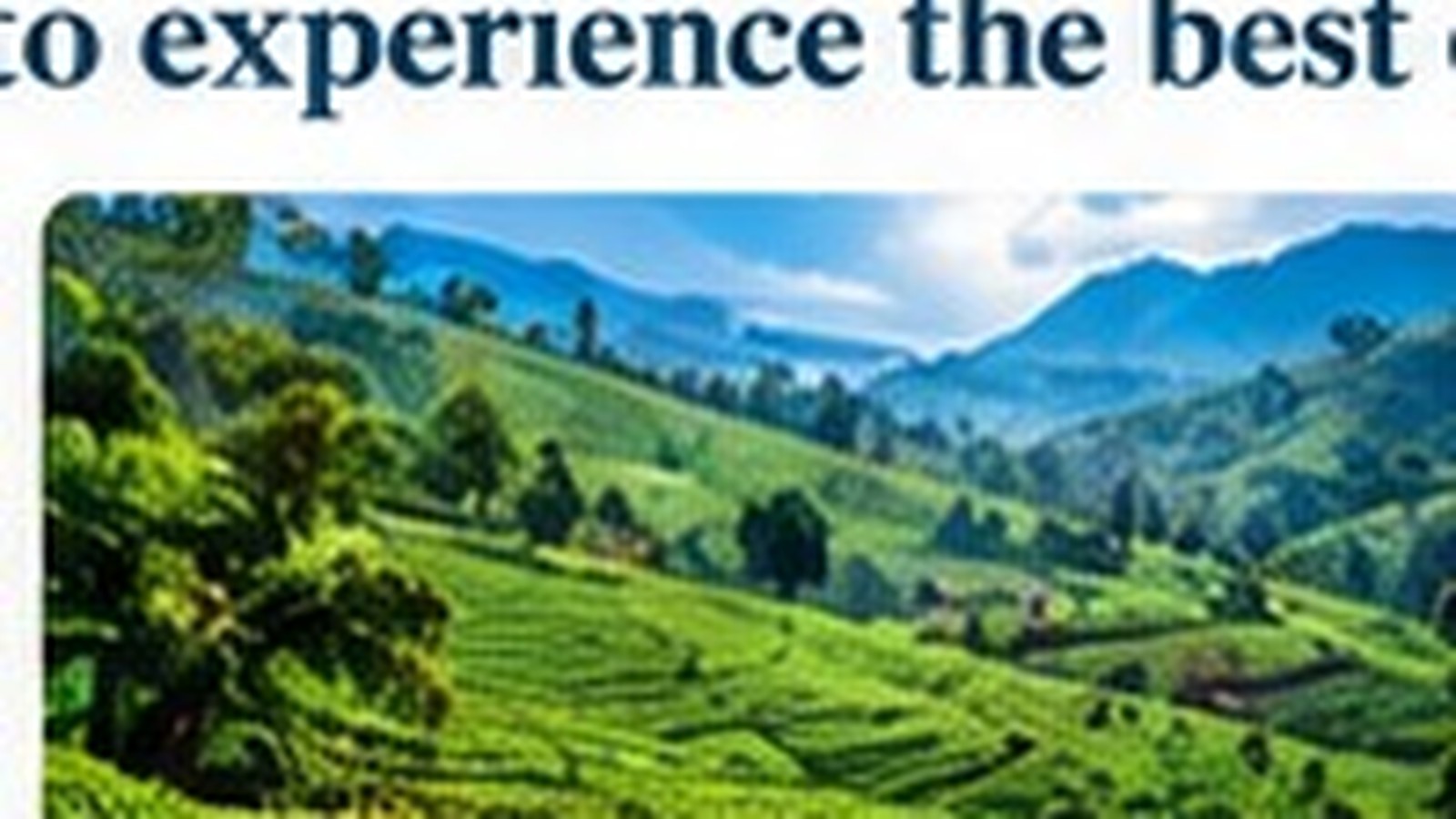 Kerala Culture & Nature