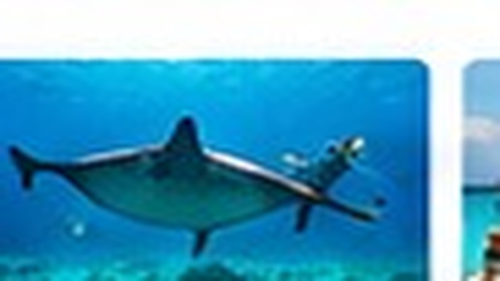 Maldives Beyond the Resort